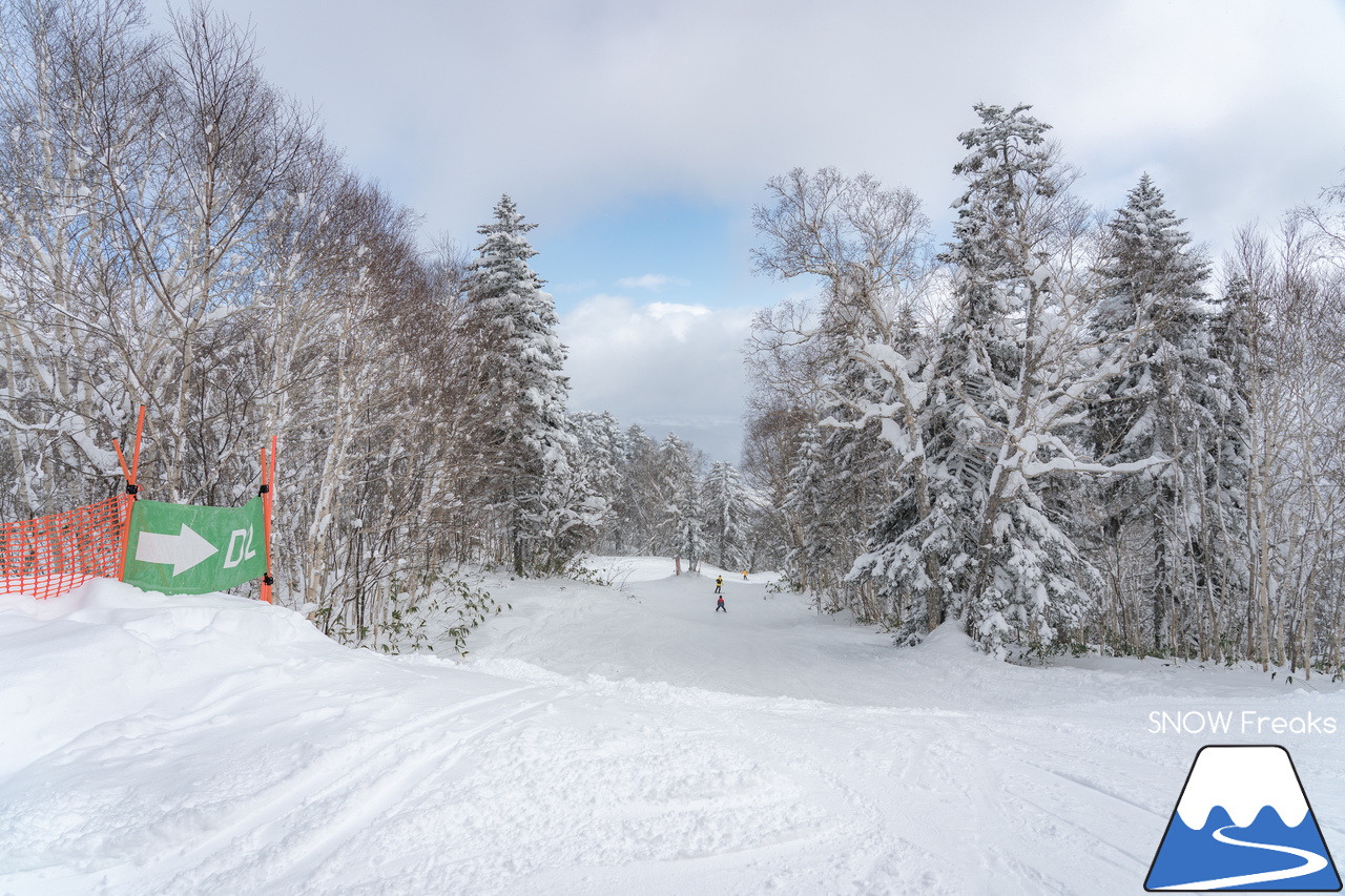 富良野スキー場｜たっぷりの『bonchi powder』が降り積ったゲレンデ…。富良野の雪は、ちょっとレベルが違います♪